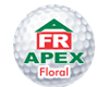 Apex logo